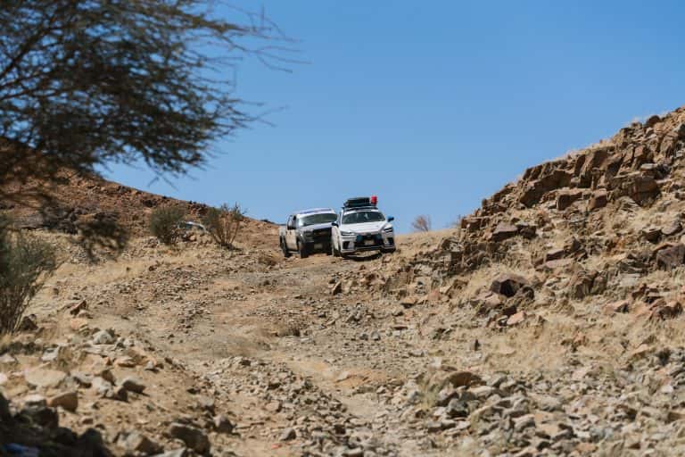 رالي جميل 2024