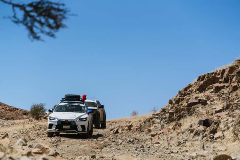 رالي جميل 2024