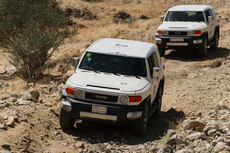 رالي جميل 2024