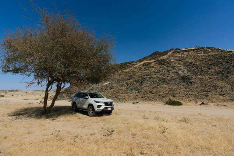 رالي جميل 2024