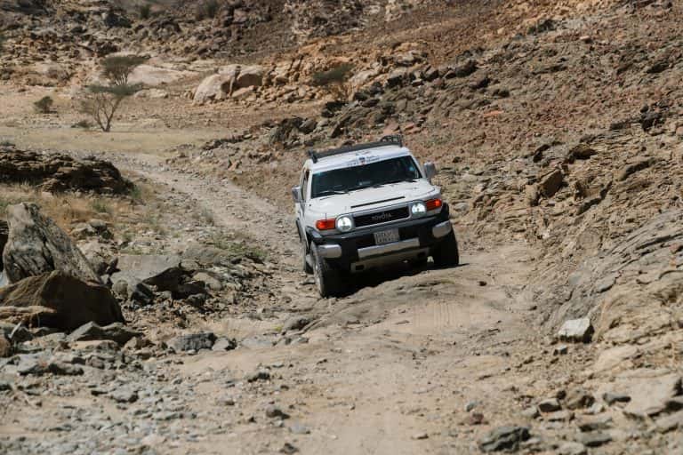 رالي جميل 2024