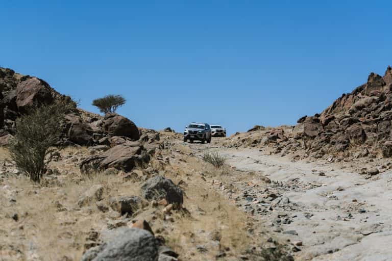 رالي جميل 2024